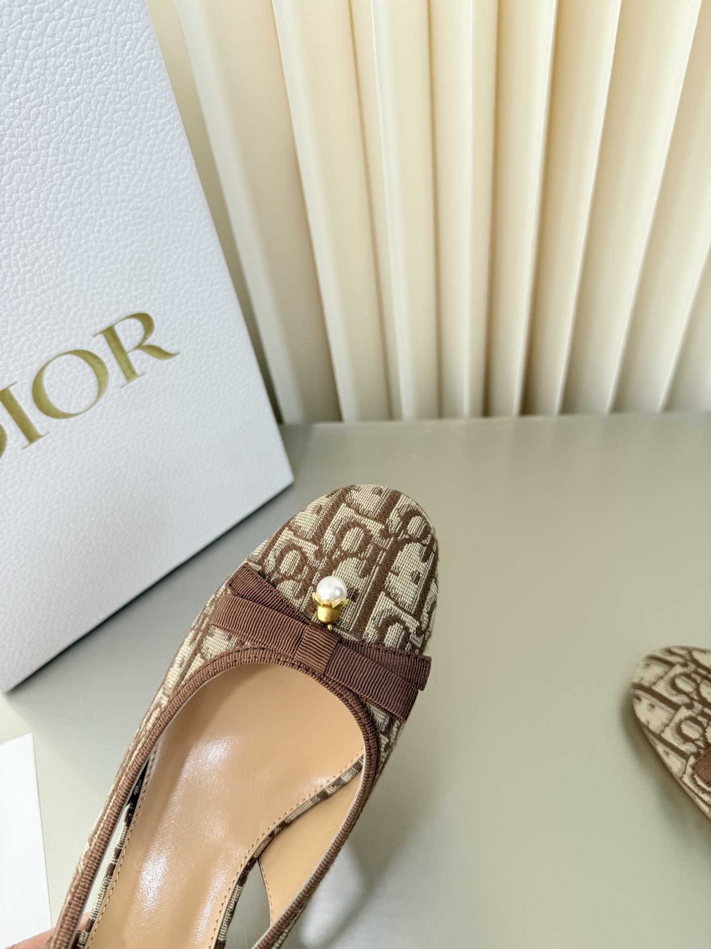 Dior Mary Jane Shoes