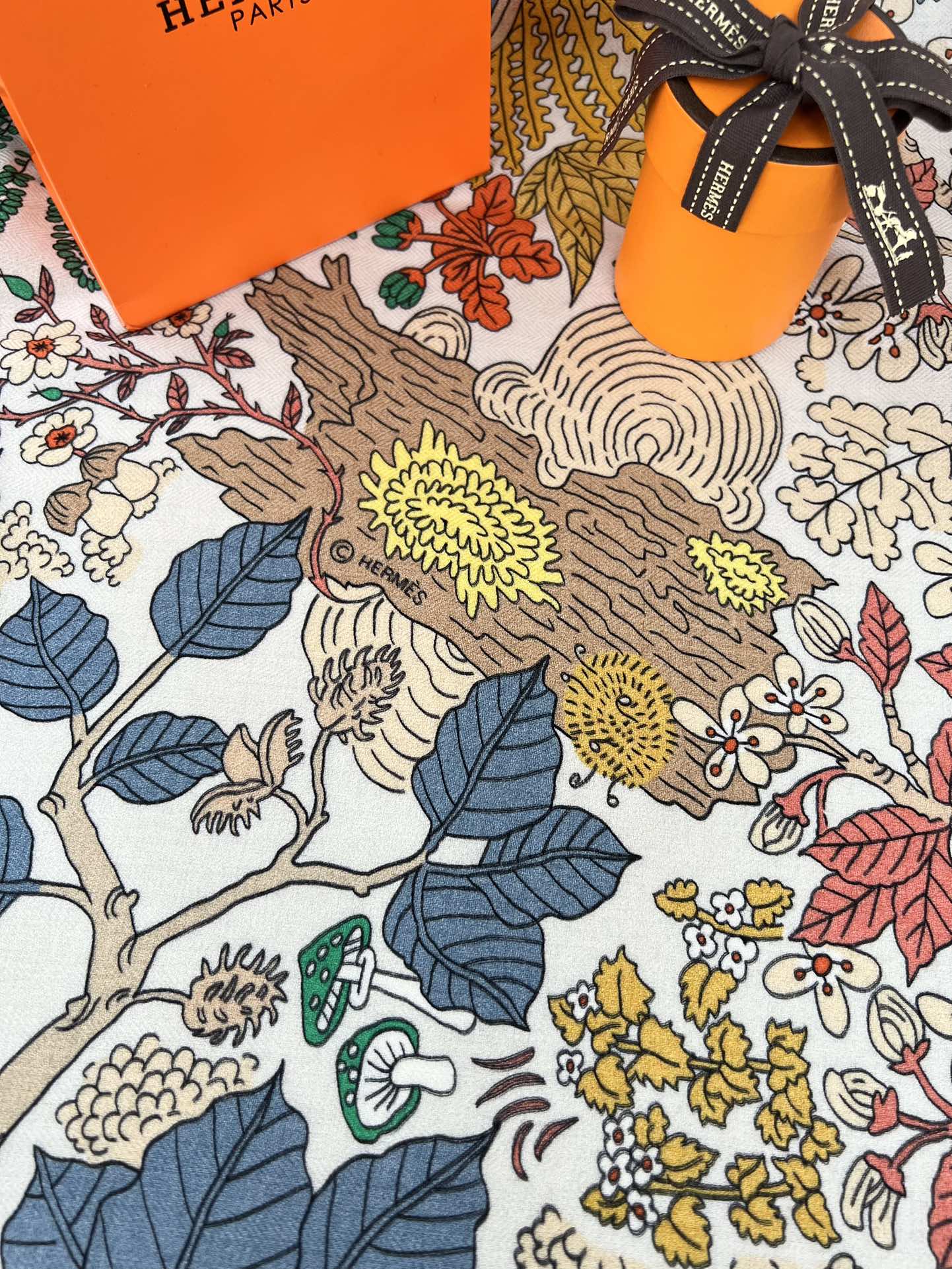 由设计师索菲亚·安德莱奥蒂(SoPhia Andreotti)和爱德华·巴里布德(EdouardBari