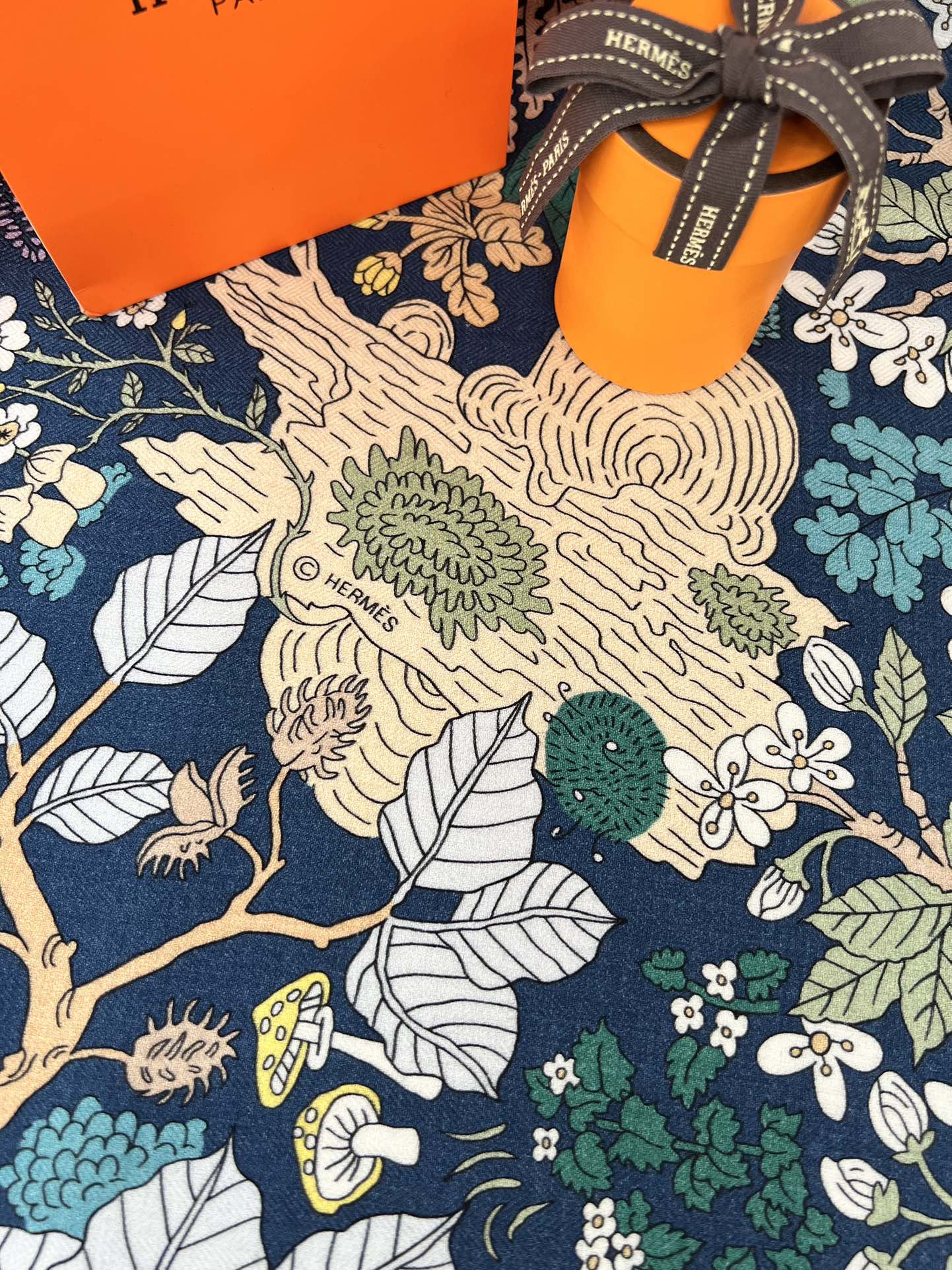 由设计师索菲亚·安德莱奥蒂(SoPhia Andreotti)和爱德华·巴里布德(EdouardBari