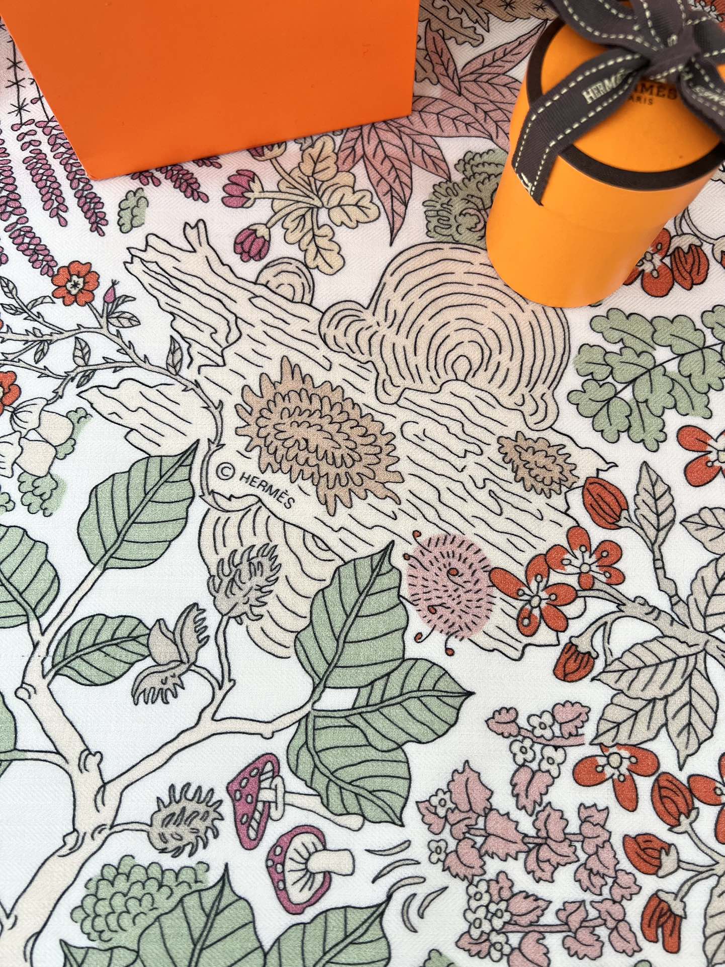 由设计师索菲亚·安德莱奥蒂(SoPhia Andreotti)和爱德华·巴里布德(EdouardBari