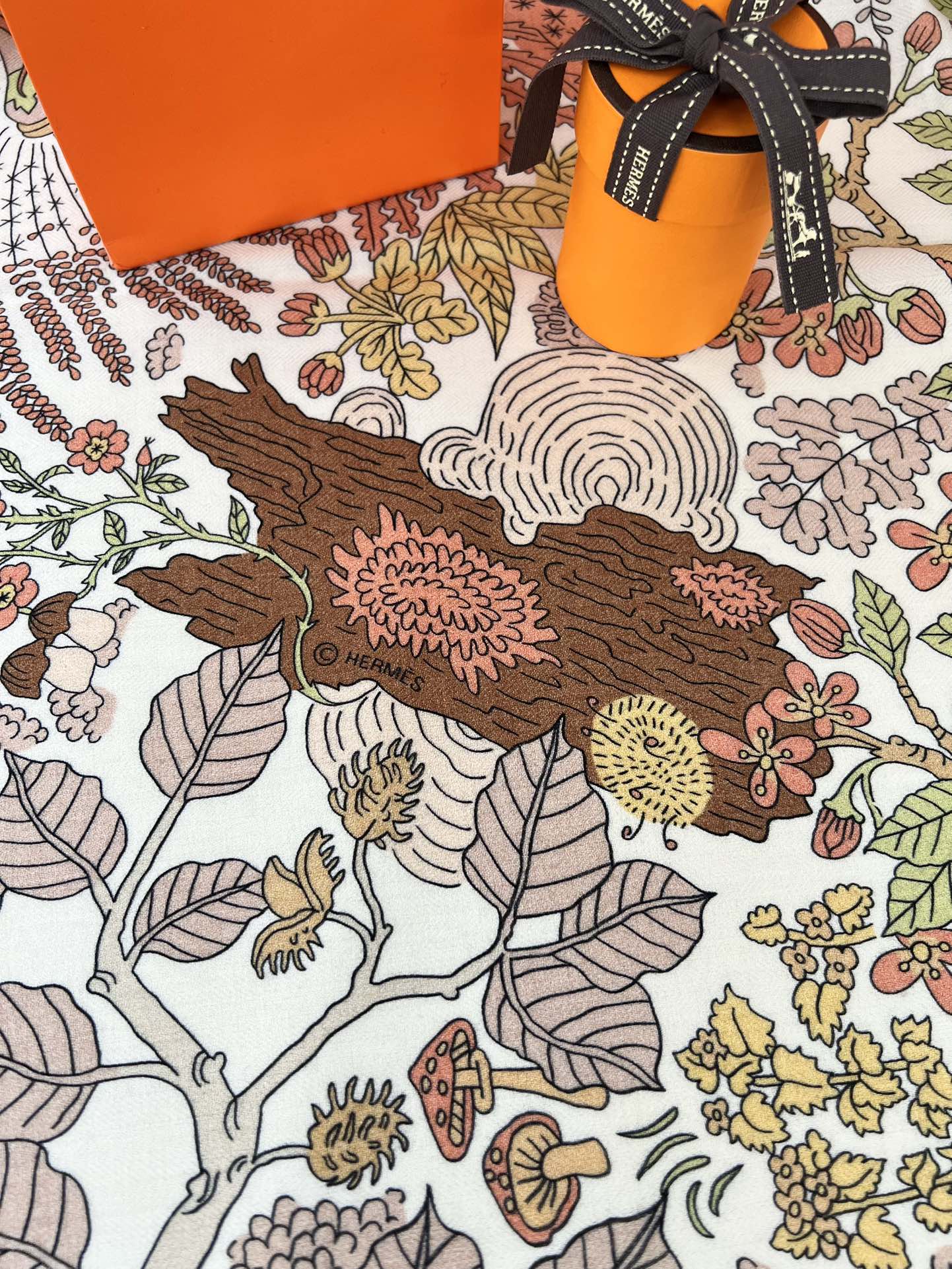 由设计师索菲亚·安德莱奥蒂(SoPhia Andreotti)和爱德华·巴里布德(EdouardBari