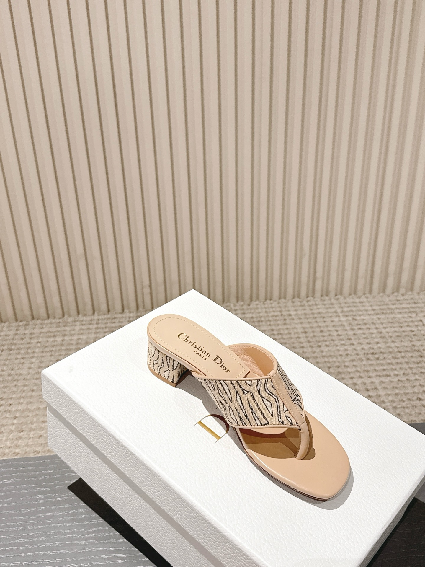 Dior Adiorable Thong Sandals - Spring/Summer 2025 Runway Collection 6 i1746227464801 3943 0 3