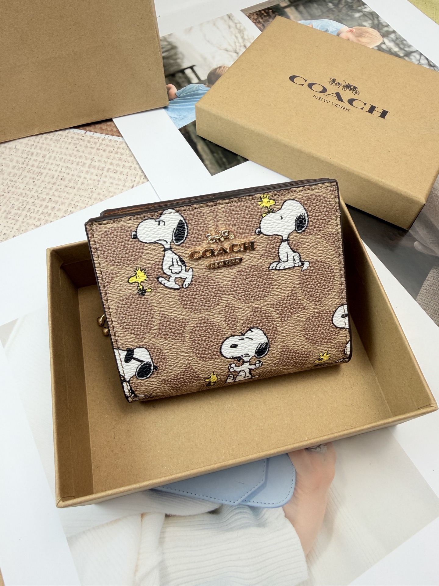 Coach Coach和Snoopy联名C4591卡包 棕色老花帆布+卡通图案短款拉链小钱包