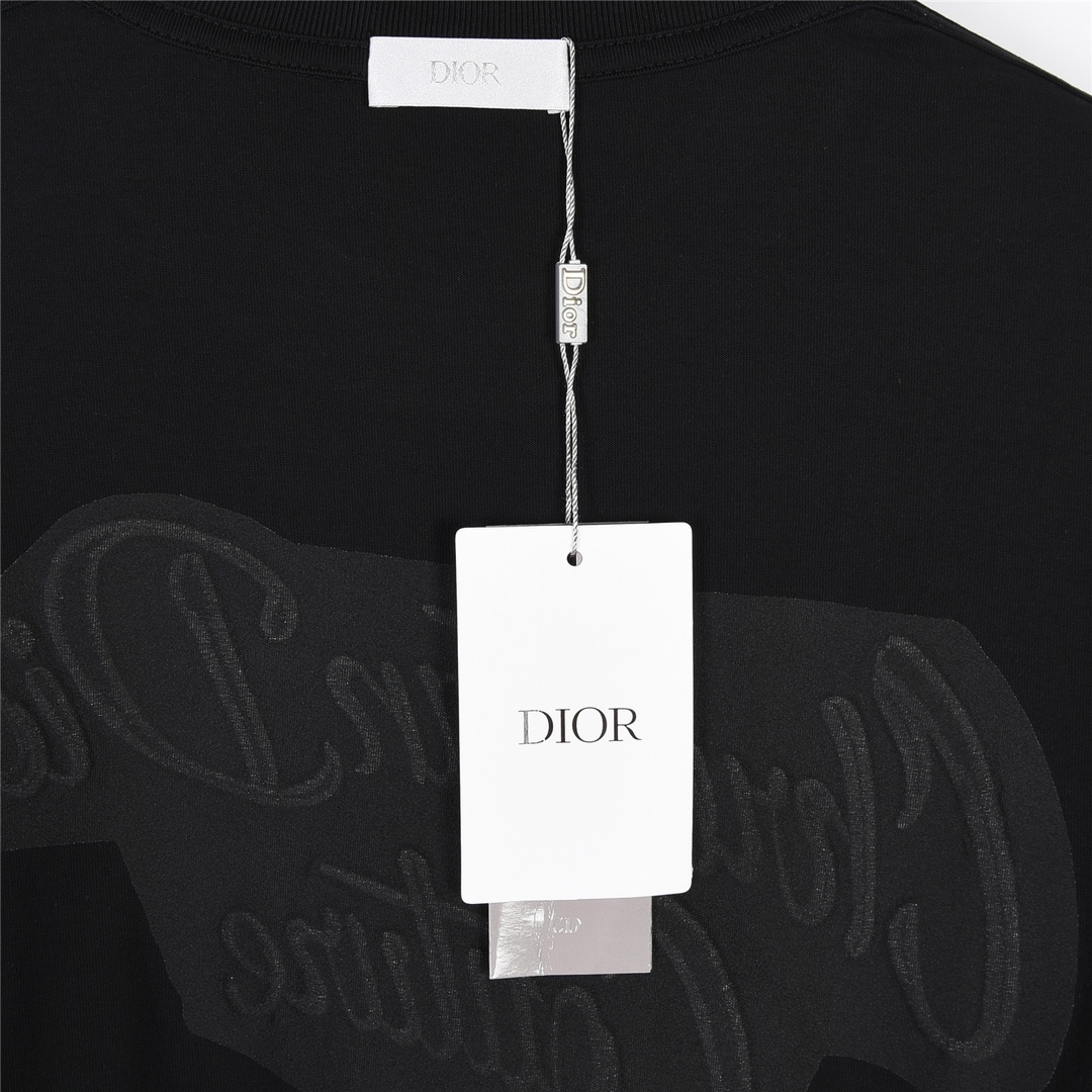 Dior 迪奥 24ss 独家配色前后刺绣短袖