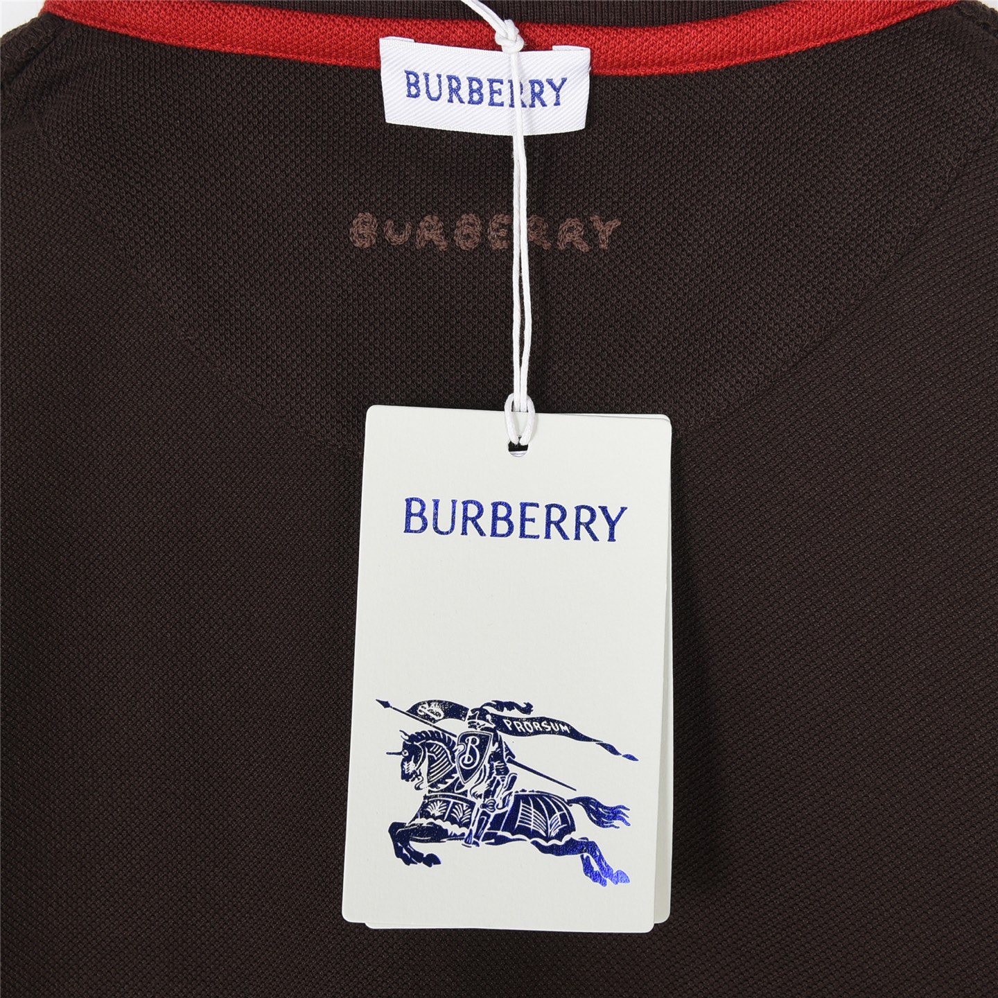 Burberry/巴宝莉 25SS 蛇形字母B短袖Polo衫