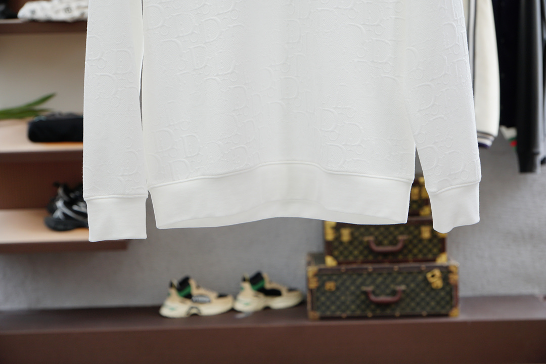 
Dior 迪奥/2025秋款
本款卫衣衫以素净棉质针织，再借明快经典小狗加织带宣告 2025 秋冬秀场