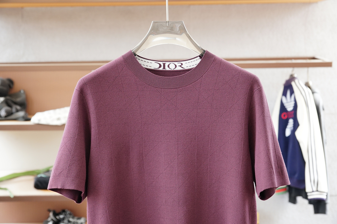 Dior 迪奥-🍐2025ss秋冬专柜同款同步上新打底短袖醋酸天丝羊毛针织面料 一体起脚针织 高端人士必