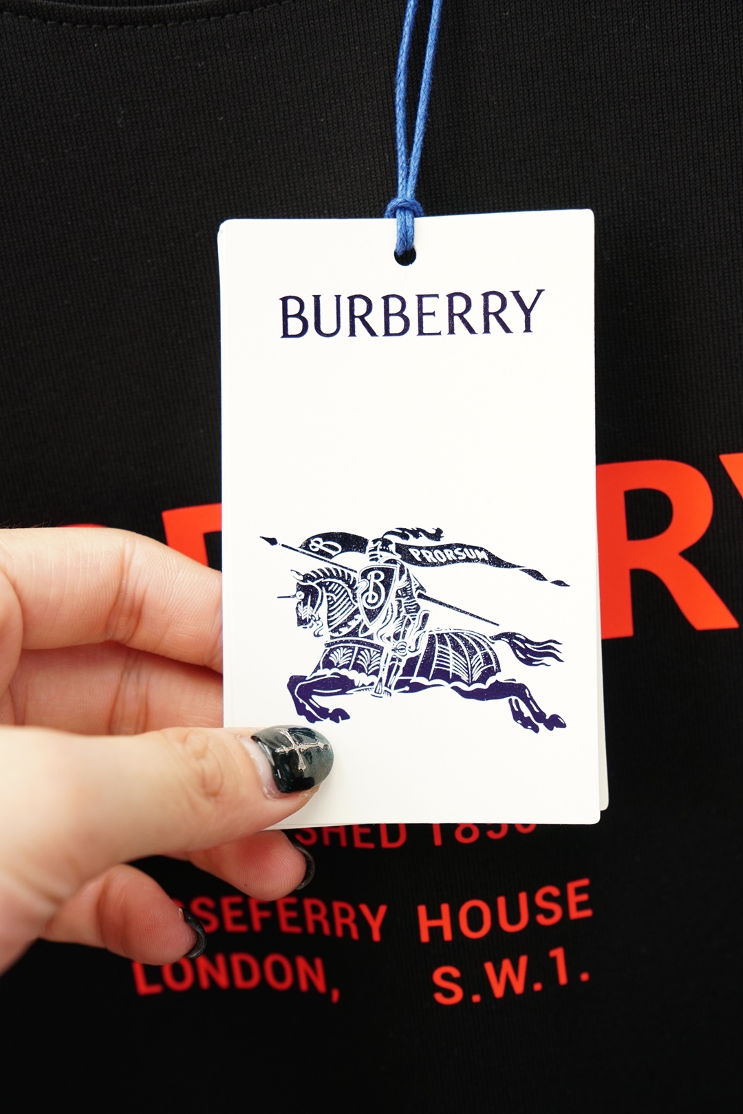 BBR 巴宝莉/26SS新款BURBERRY刺绣短T     这款T恤胸前搭配Burberry品牌经典马