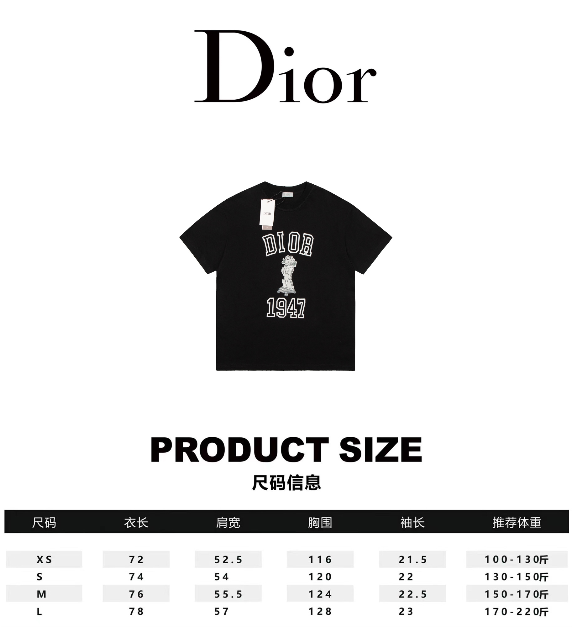 Dior Designer
 Clothing T-Shirt Printing Short Sleeve