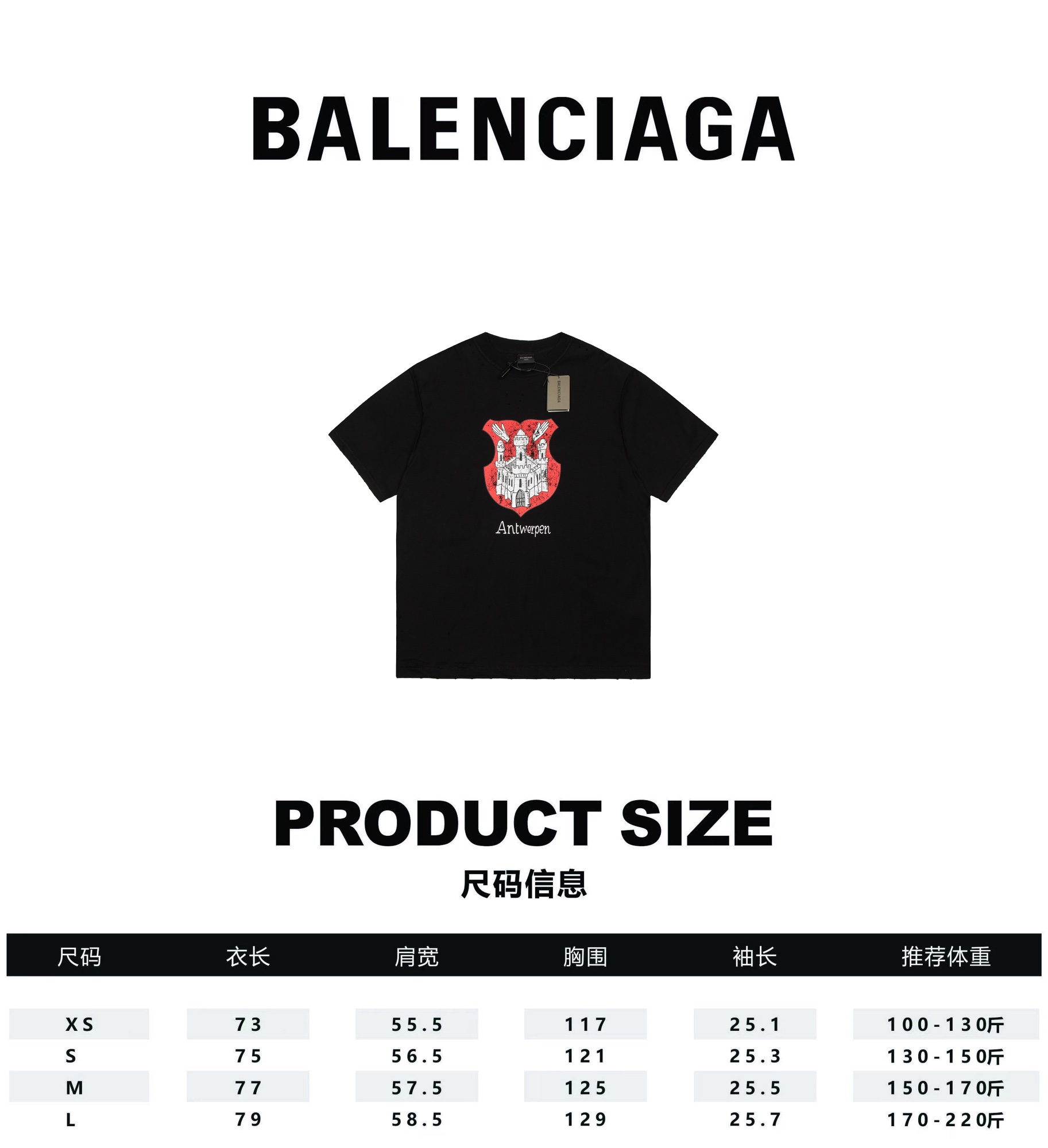 Balenciaga AAAAA+
 Clothing T-Shirt Printing
