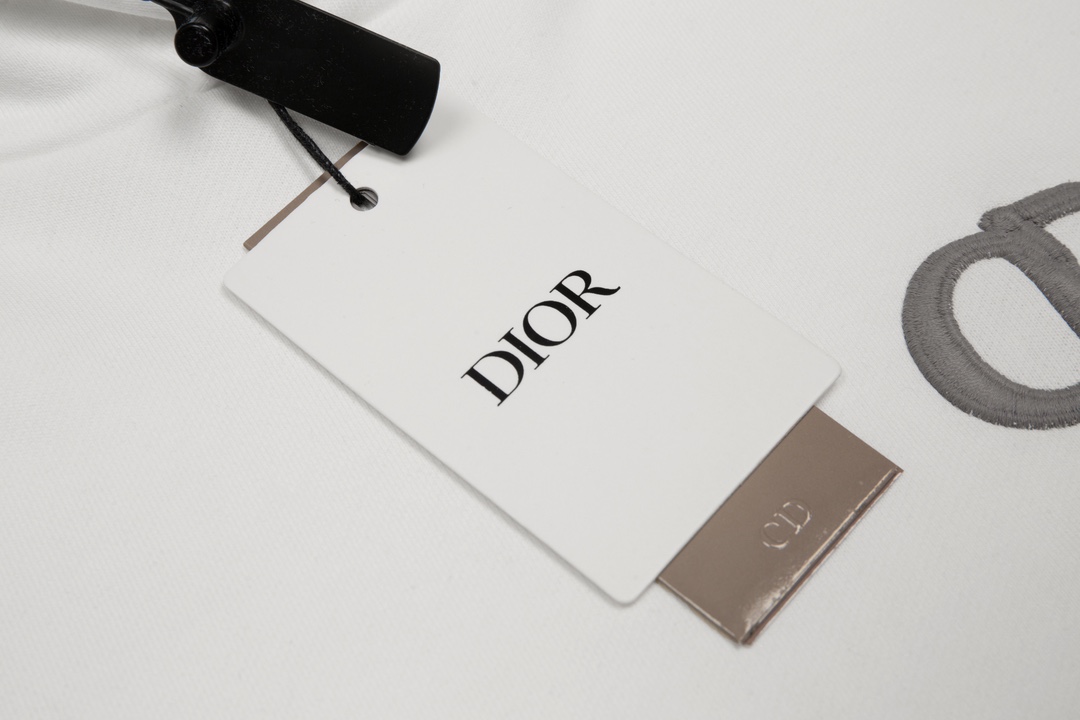 DIOR/迪奥 24ss logo刺绣印花 连帽卫衣