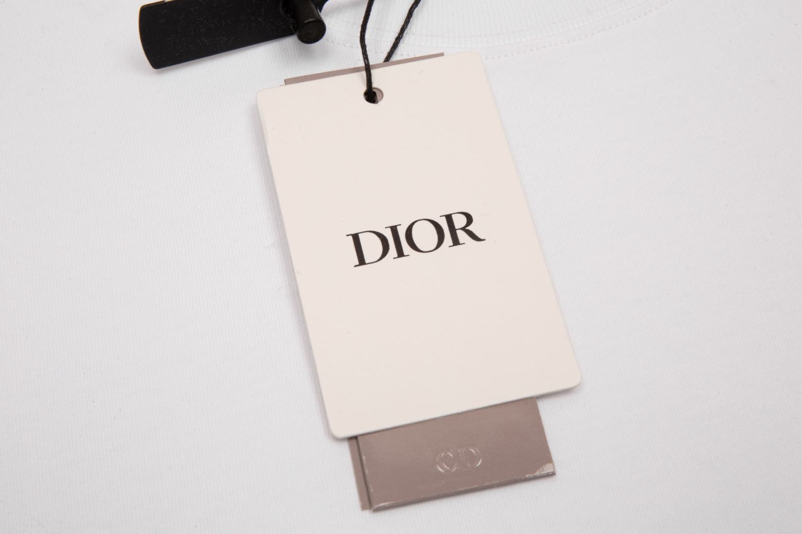DIOR/迪奥 新款系列 苹果蛇刺绣短袖T恤