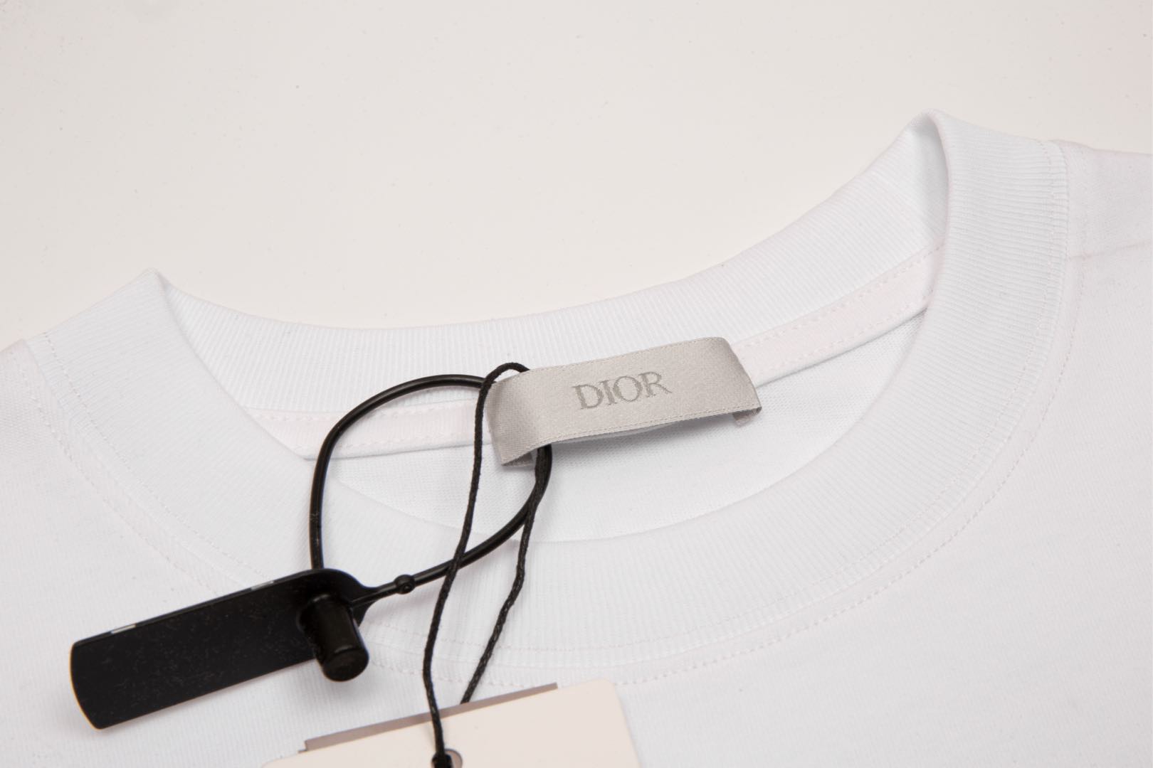 DIOR/迪奥 新款系列 苹果蛇刺绣短袖T恤