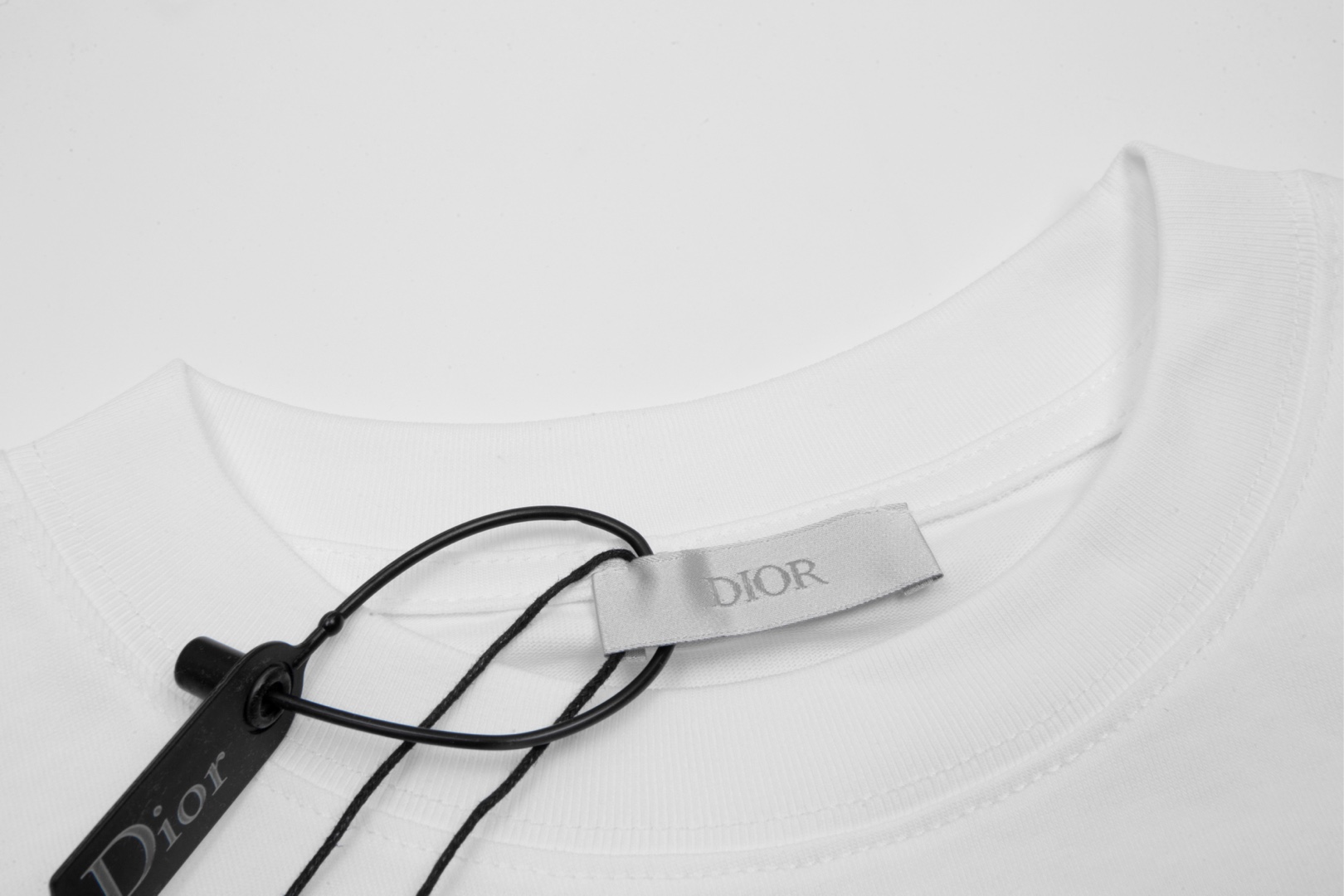 DIOR/迪奥 新款 前后图案圆领短袖T恤