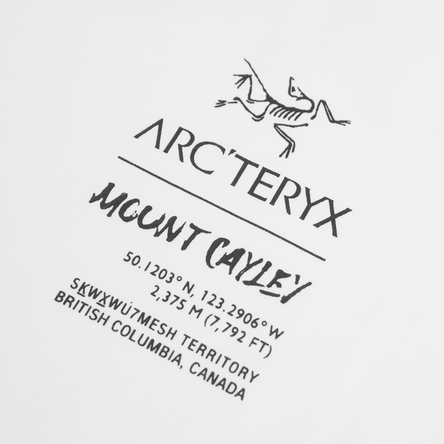 High-Quality Women’s Suit with Arcteryx Cuffs: Lightweight, Versatile, Stylish Options - 图片 6