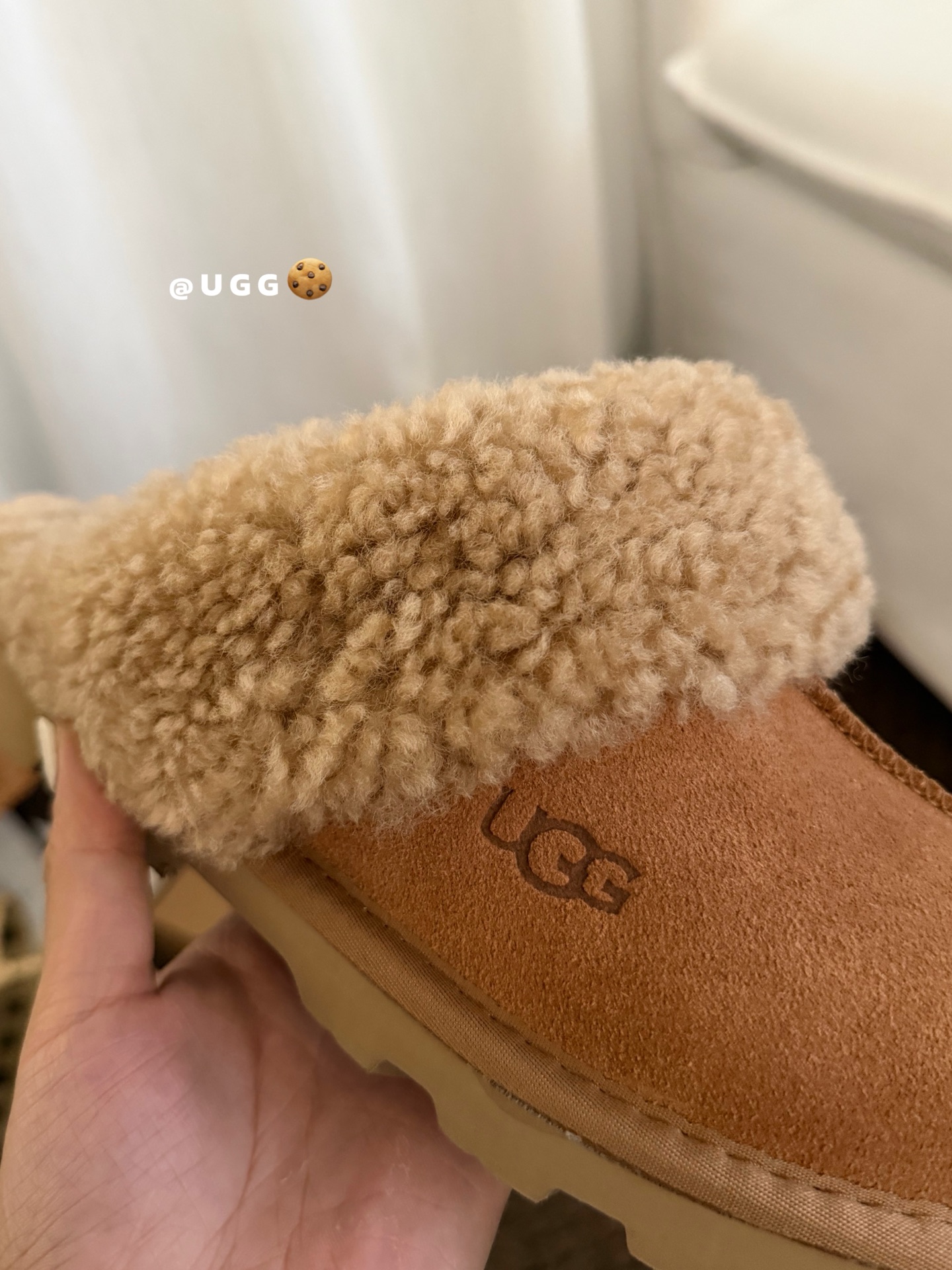 🔥UGG泰迪🐻毛毛星拖，三色，35-40码！