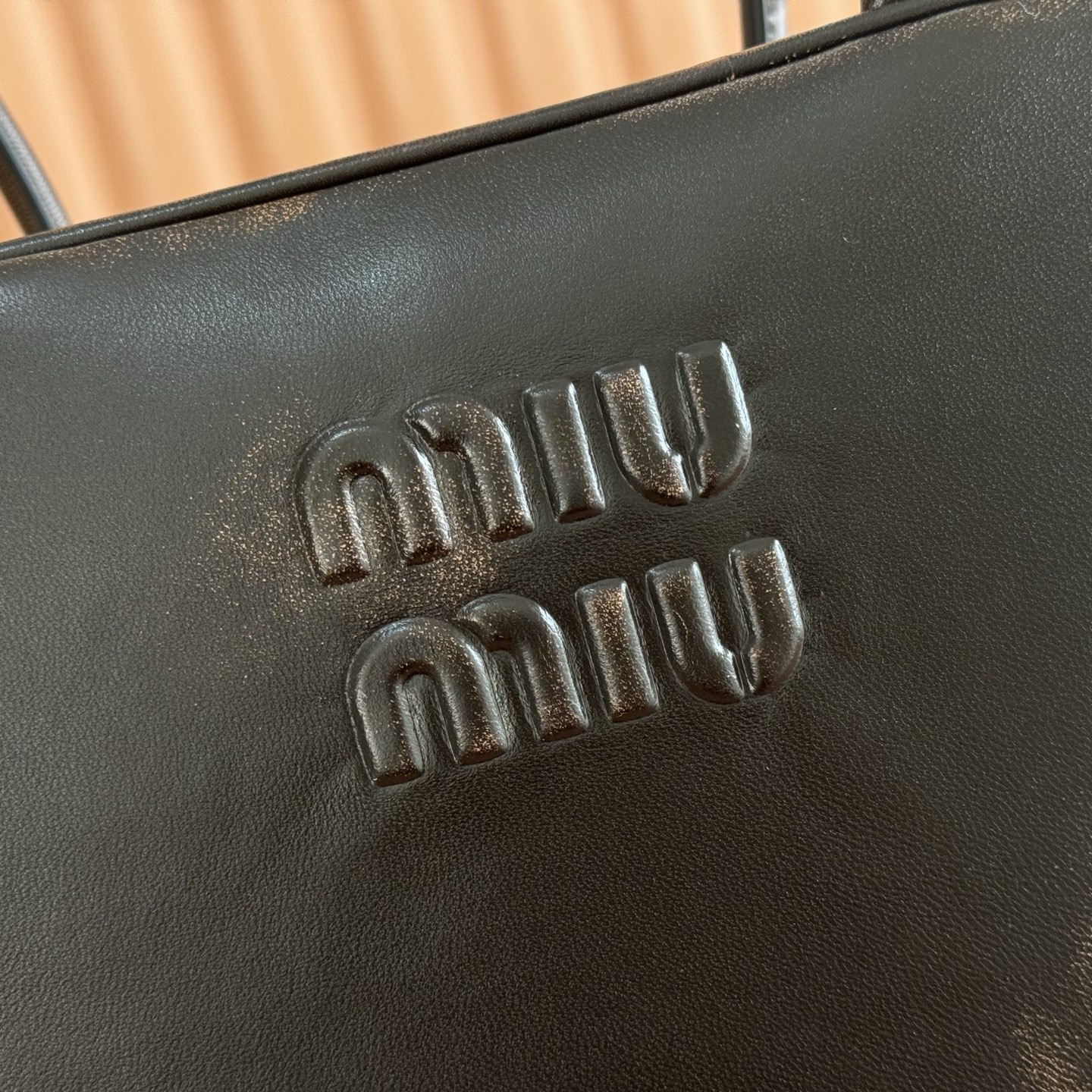 Miu Miu everyday