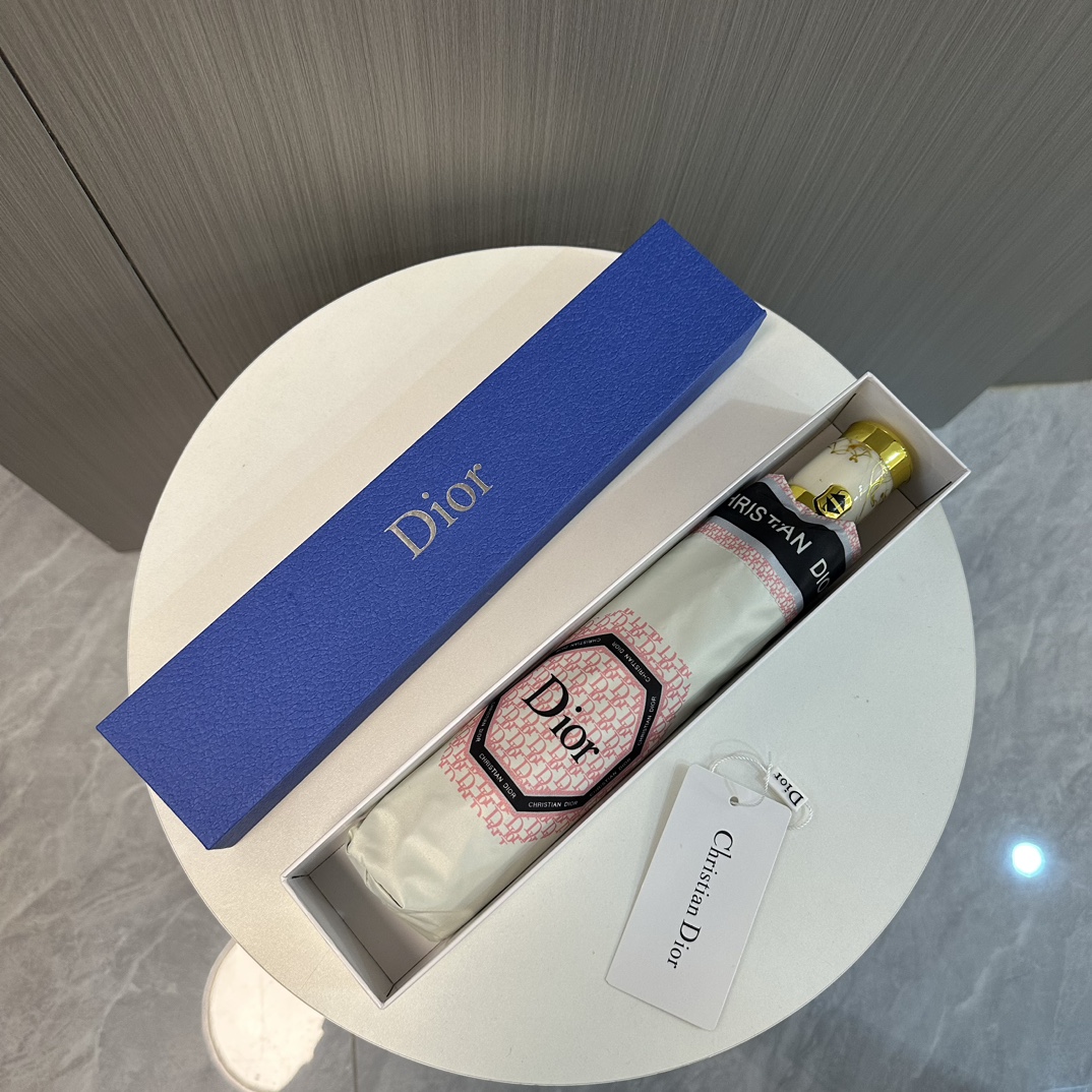 Dior Paraguas Negro Morado Colección de verano