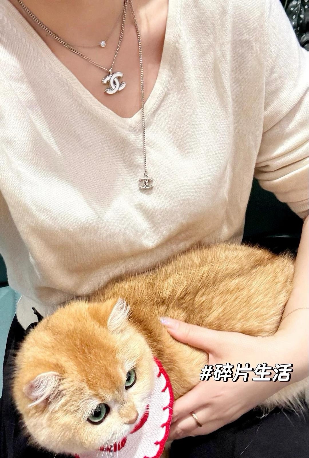 NO:881415,Simple, high-end Cartier jewelry19860909简简单单,,卡迪亚高端饰品,Jewelry