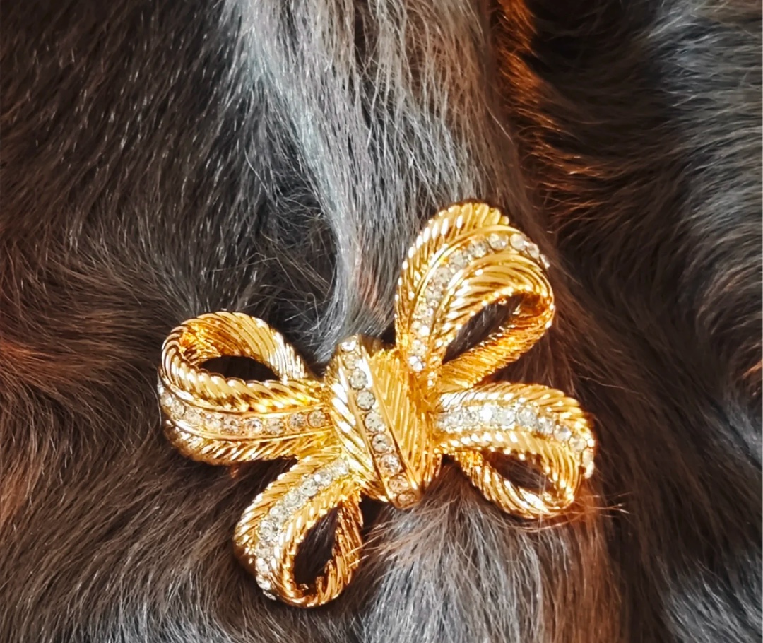 【】 秋冬必不可少的胸针，让每一件单品都变成大牌🤩