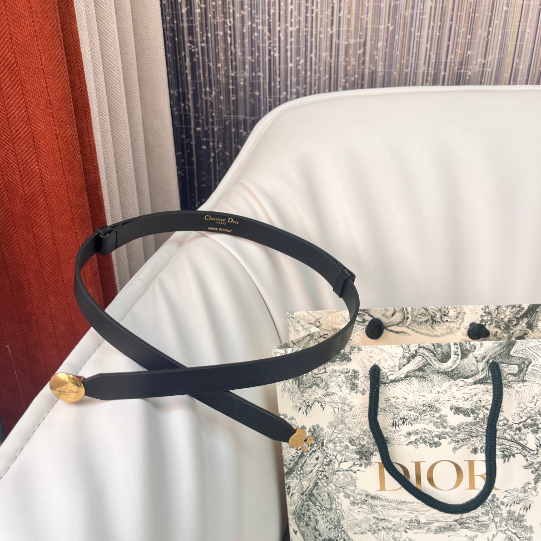 Dior Women's 1.5cm Black Leather Belt with Gold-Tone Buckle 7 o 1ihmv4fc21jnk1kamulhv0g1r9c6