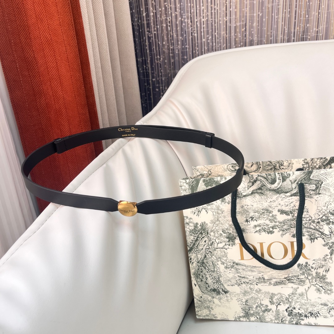 Dior Women's 1.5cm Black Leather Belt with Gold-Tone Buckle 10 o 1ihmv4fc31dq21sugc8s1dns14m79