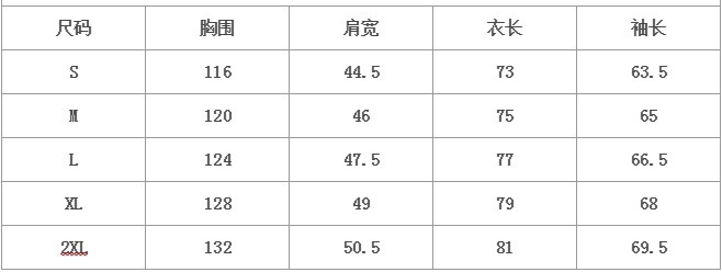 1986 North Face Mountain Jacket: Upgraded Ski Suit with Classic Style - 图片 9