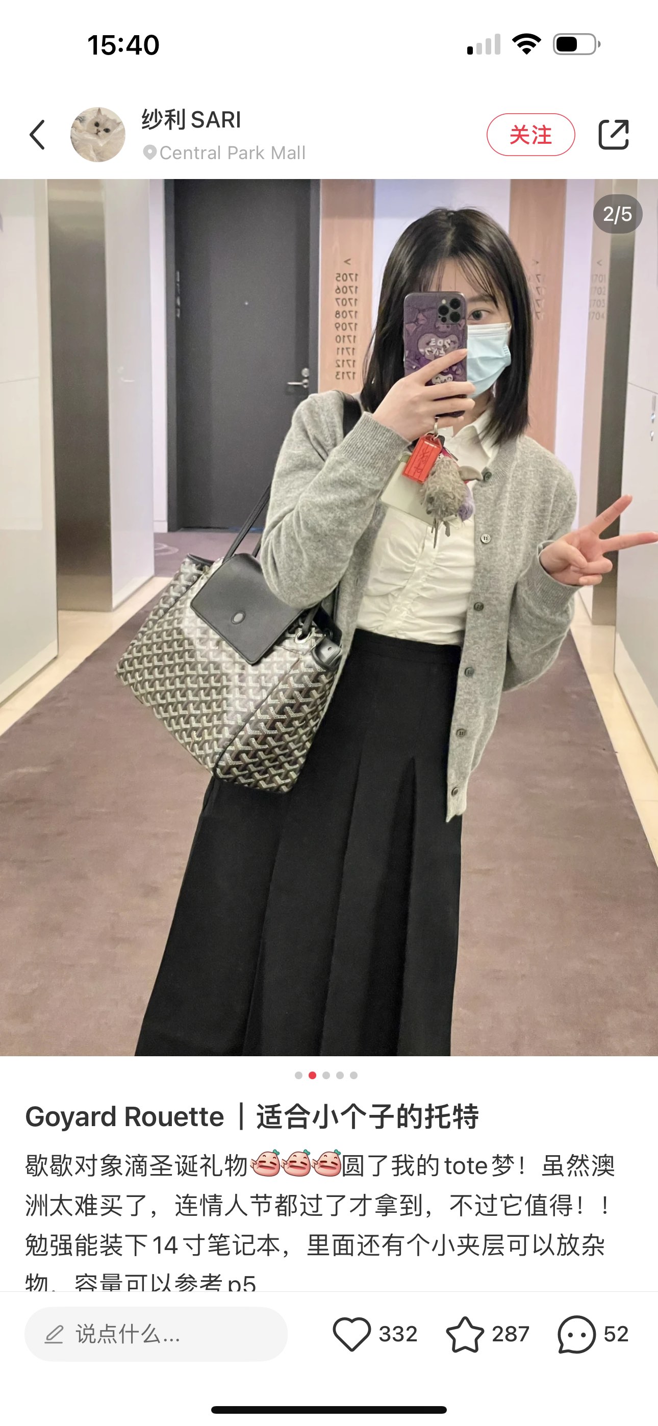 Louis Vuitton Luxury Handbag Collection 8