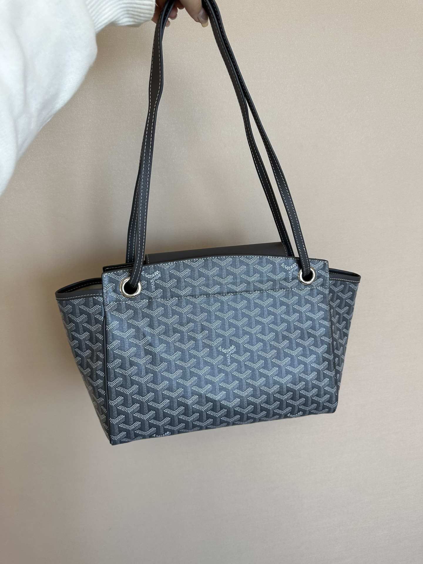 Goyard Luxury Handbag Collection 6
