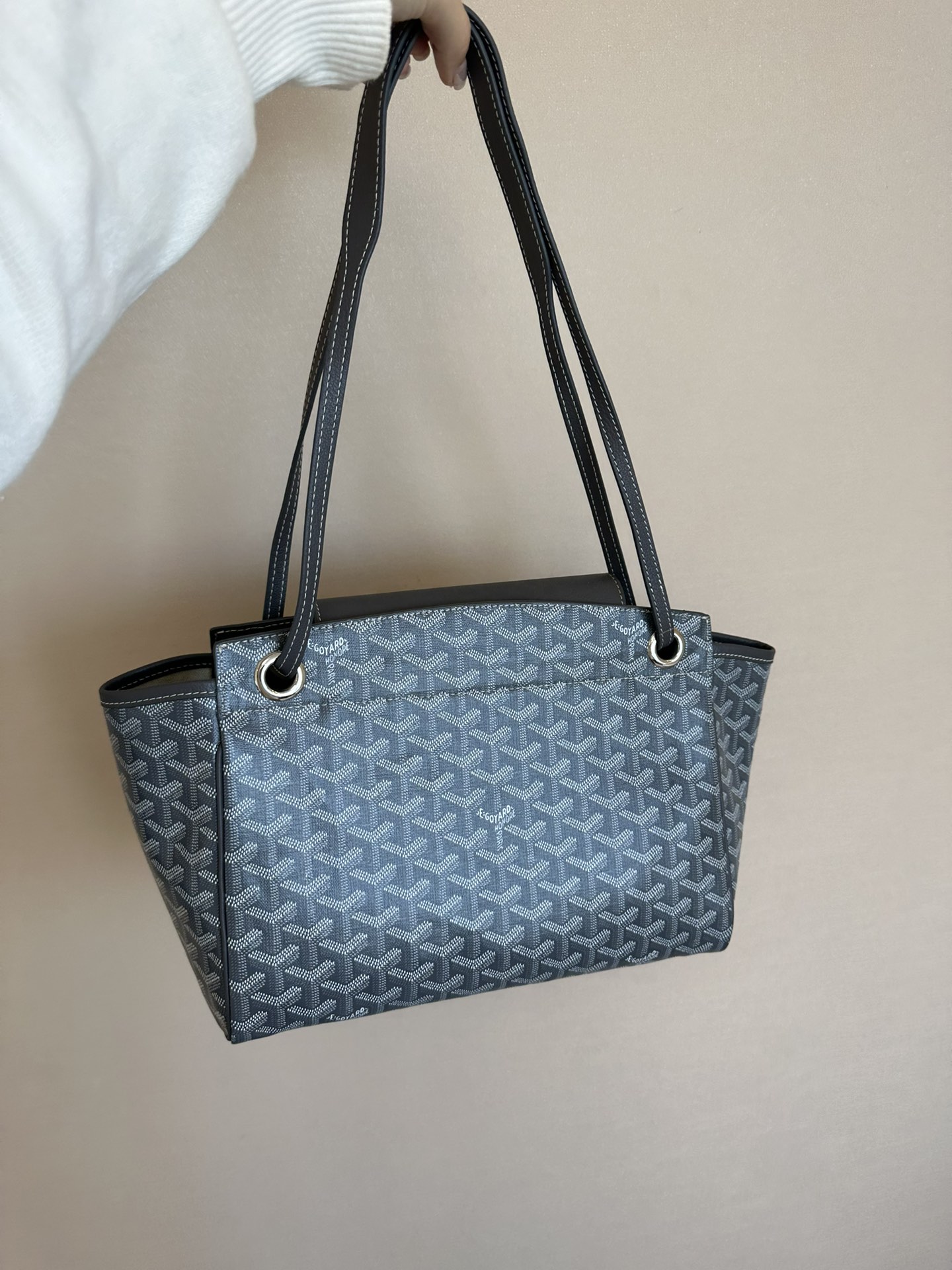 Goyard Luxury Handbag Collection 7
