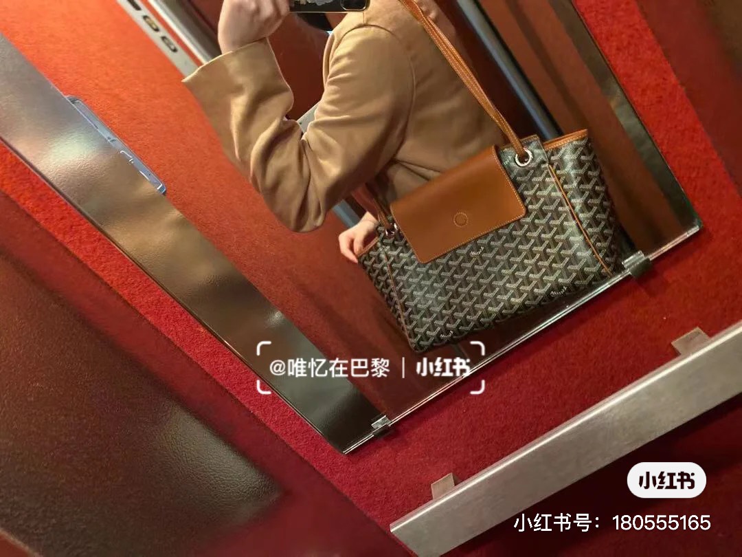 年度神包戈雅来啦 3
