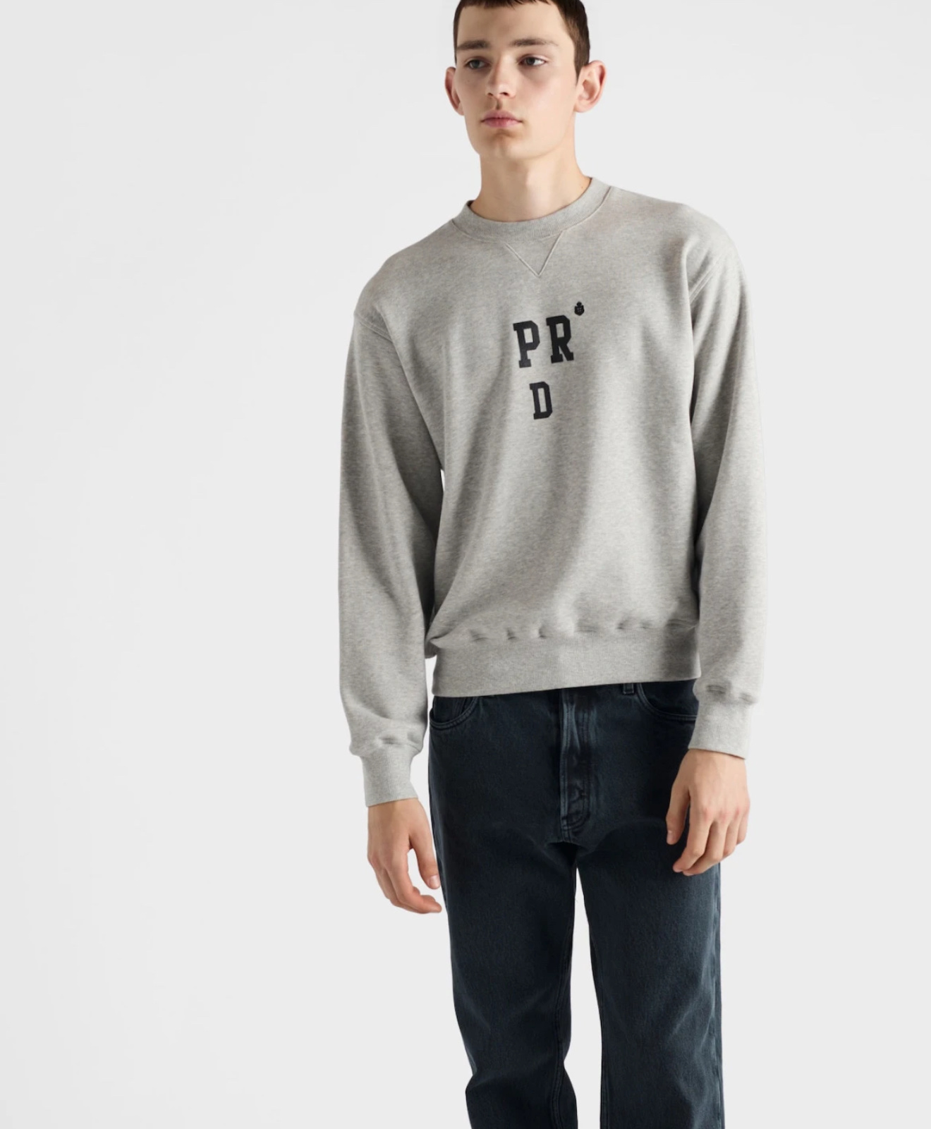 Prada Flocked Logo Cotton Sweatshirt, Crewneck Jumper for Men and Women 4 i1756720105575 7519 0 3