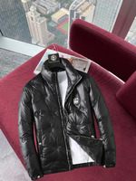 Louis Vuitton Clothing Down Jacket Unisex Fall/Winter Collection