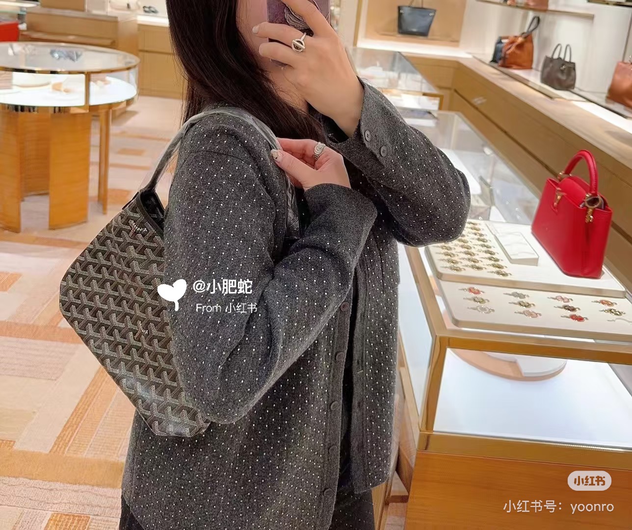 고야드 미니 호보 가방 상세 이미지 4