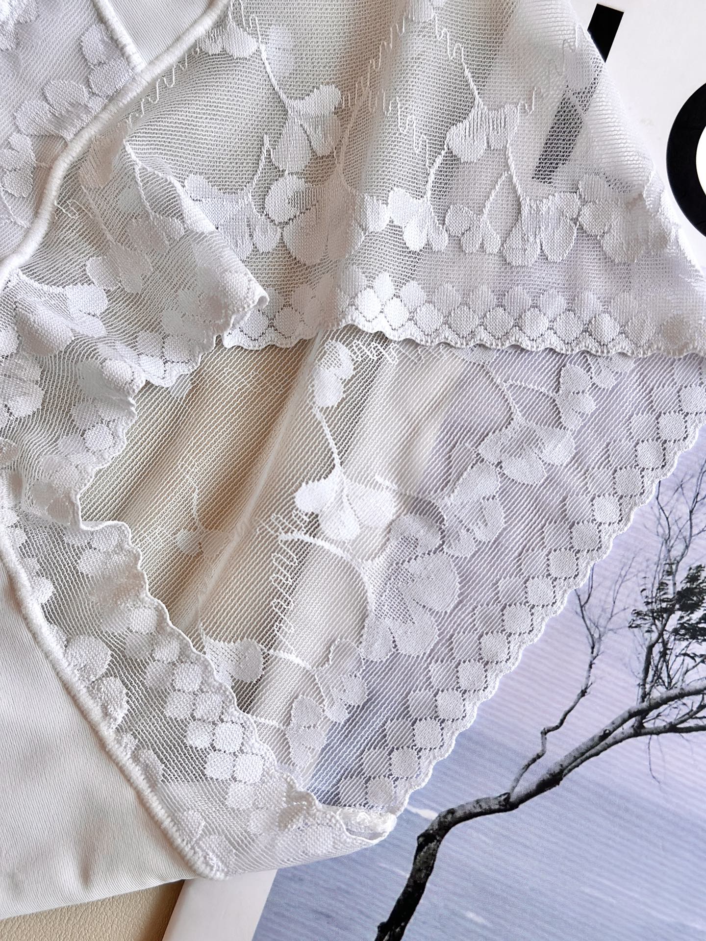 ‼️‼️ LaPerla 2026新款｜精致提花蕾丝内裤高级哑光肌理，软糯亲肤无感无痕工艺，高腰包裹更显