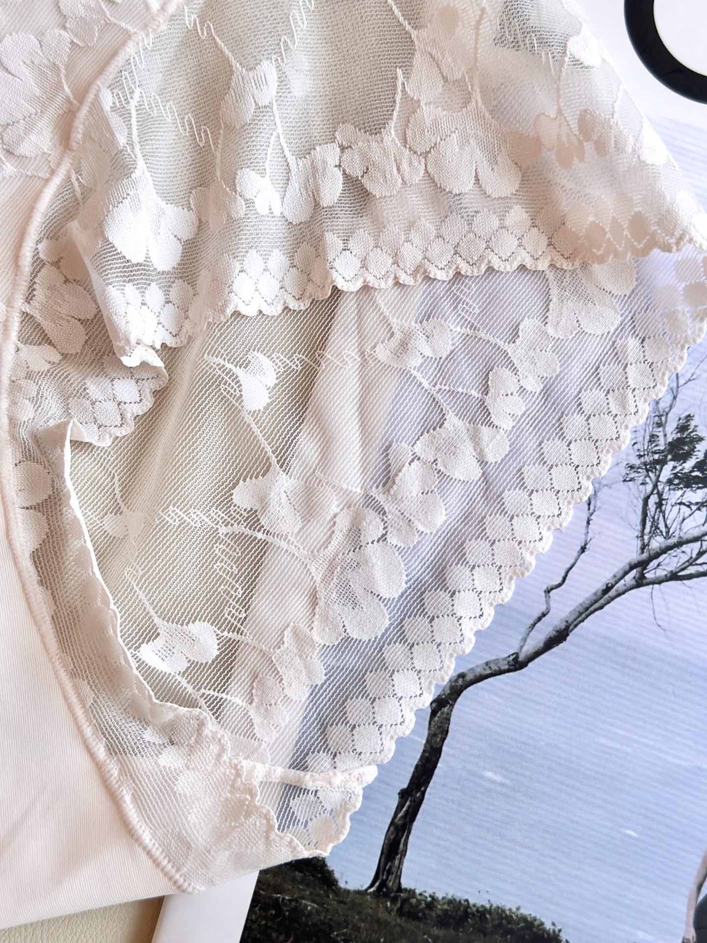 ‼️‼️ LaPerla 2026新款｜精致提花蕾丝内裤高级哑光肌理，软糯亲肤无感无痕工艺，高腰包裹更显