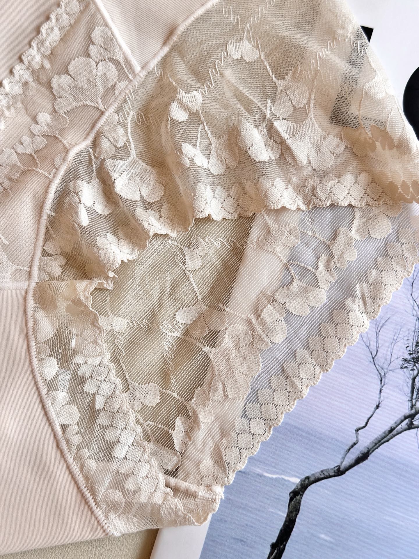 ‼️‼️ LaPerla 2026新款｜精致提花蕾丝内裤高级哑光肌理，软糯亲肤无感无痕工艺，高腰包裹更显