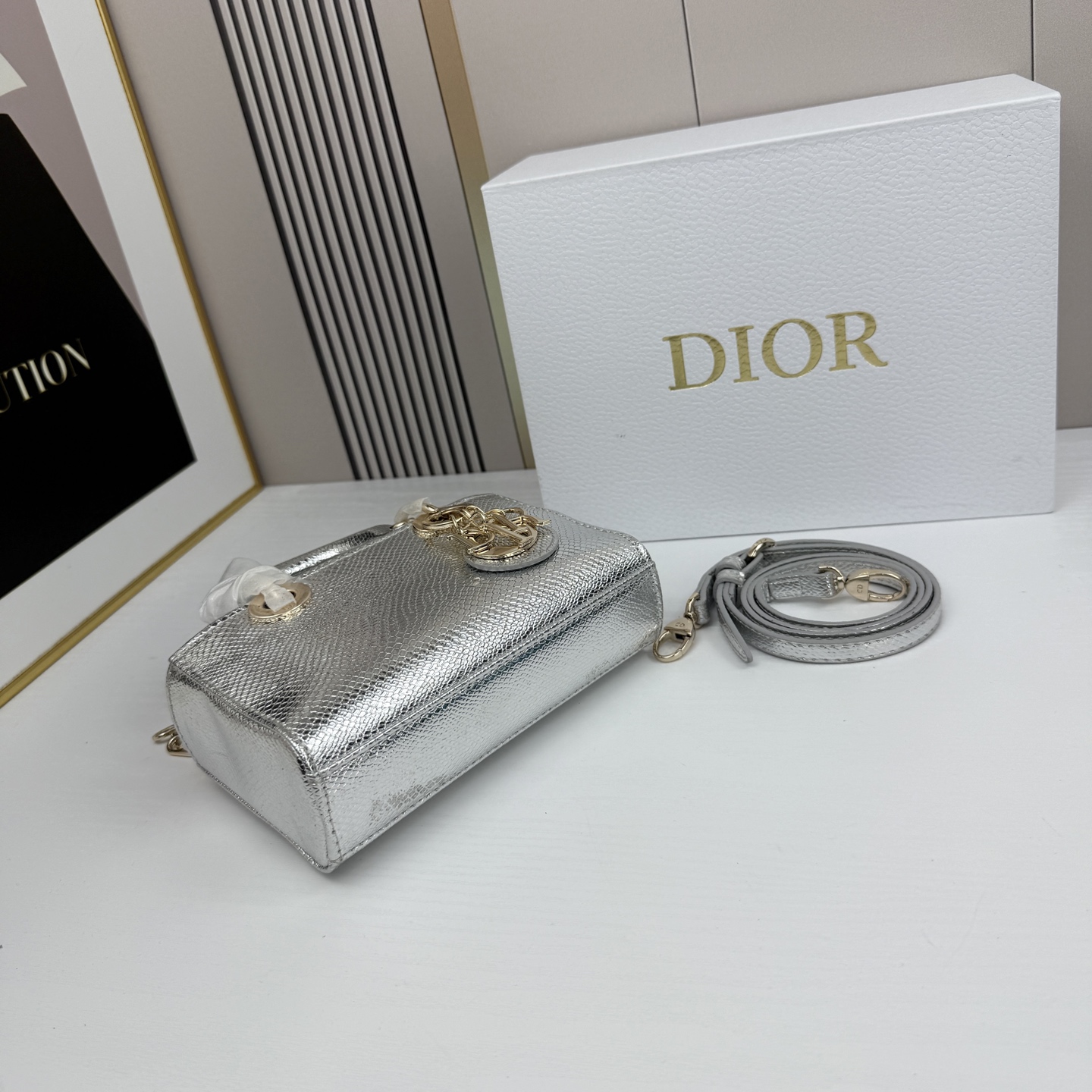横版mini迪奥Dior 蜥蜴纹戴妃包🖤经典配色超级百搭比较稀有的皮质，搭配超级洋气🫧尺寸17.14