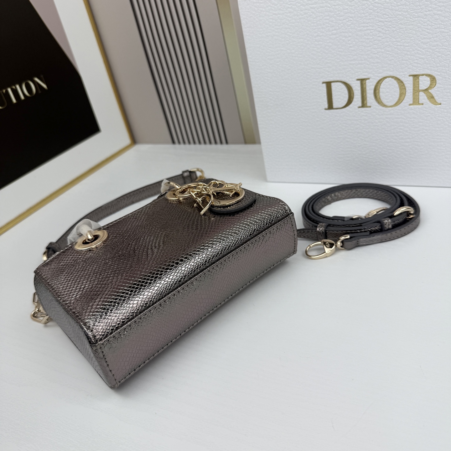 横版mini迪奥Dior 蜥蜴纹戴妃包🖤经典配色超级百搭比较稀有的皮质，搭配超级洋气🫧尺寸17.14