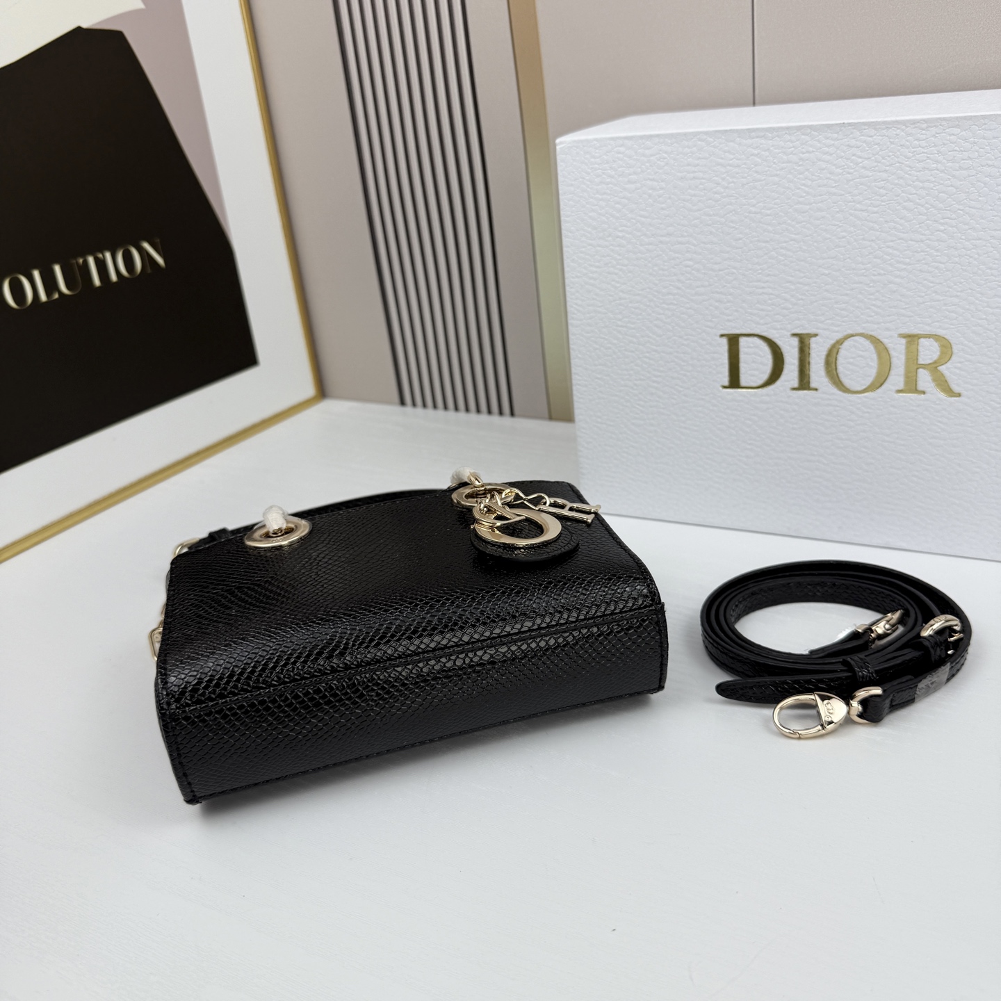 横版mini迪奥Dior 蜥蜴纹戴妃包🖤经典配色超级百搭比较稀有的皮质，搭配超级洋气🫧尺寸17.14