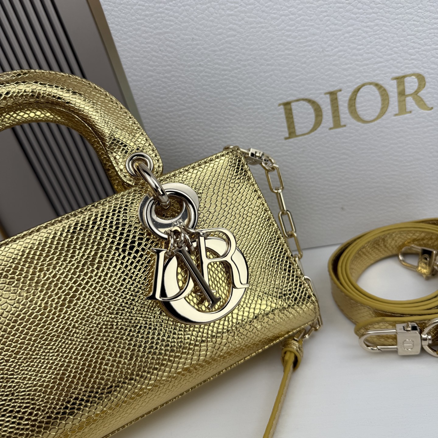 横版小号迪奥Dior 蜥蜴纹戴妃包🖤经典配色超级百搭比较稀有的皮质，搭配超级洋气🫧尺寸：22×13×4c