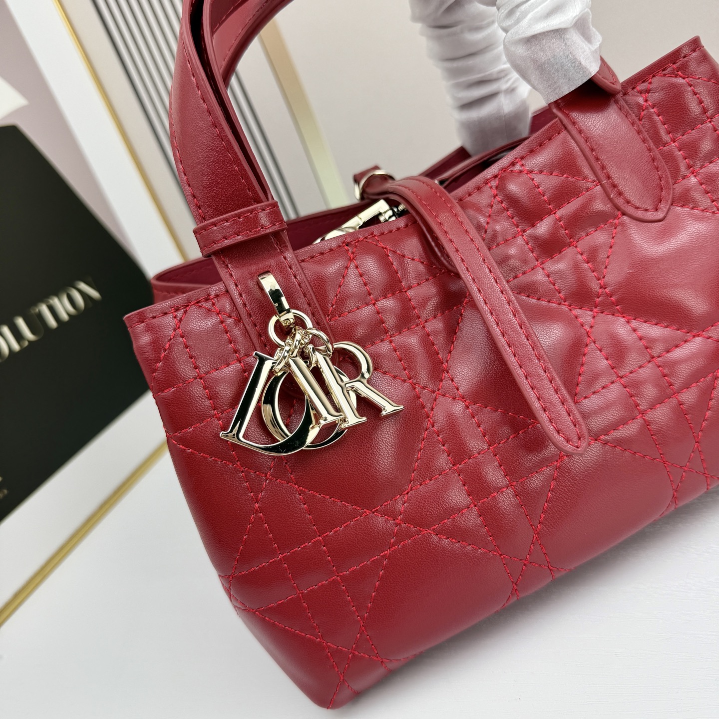 Dior Toujours Red 23cm tote everyday