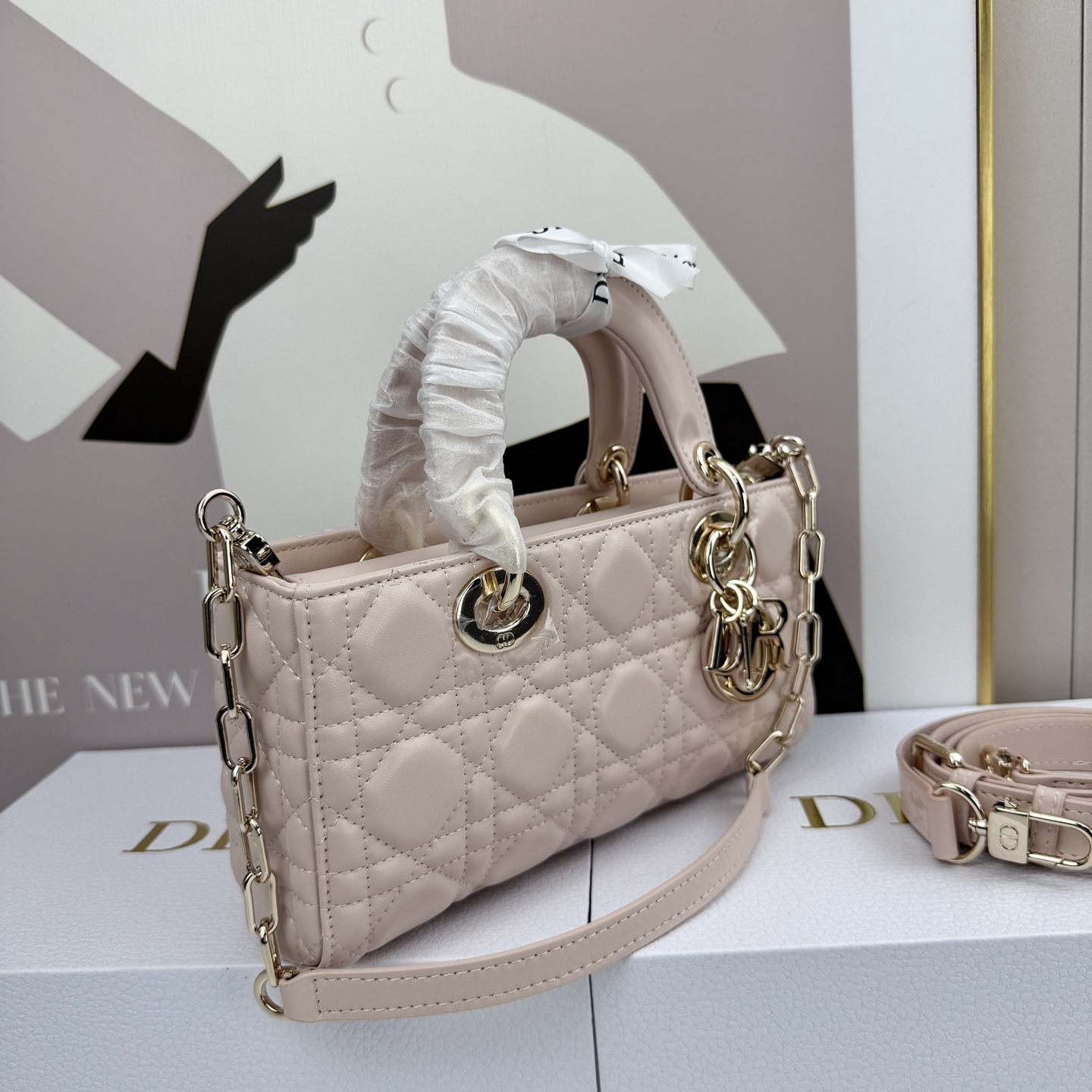 Dior Lady D-Joy Light pink 22cm shoulder everyday