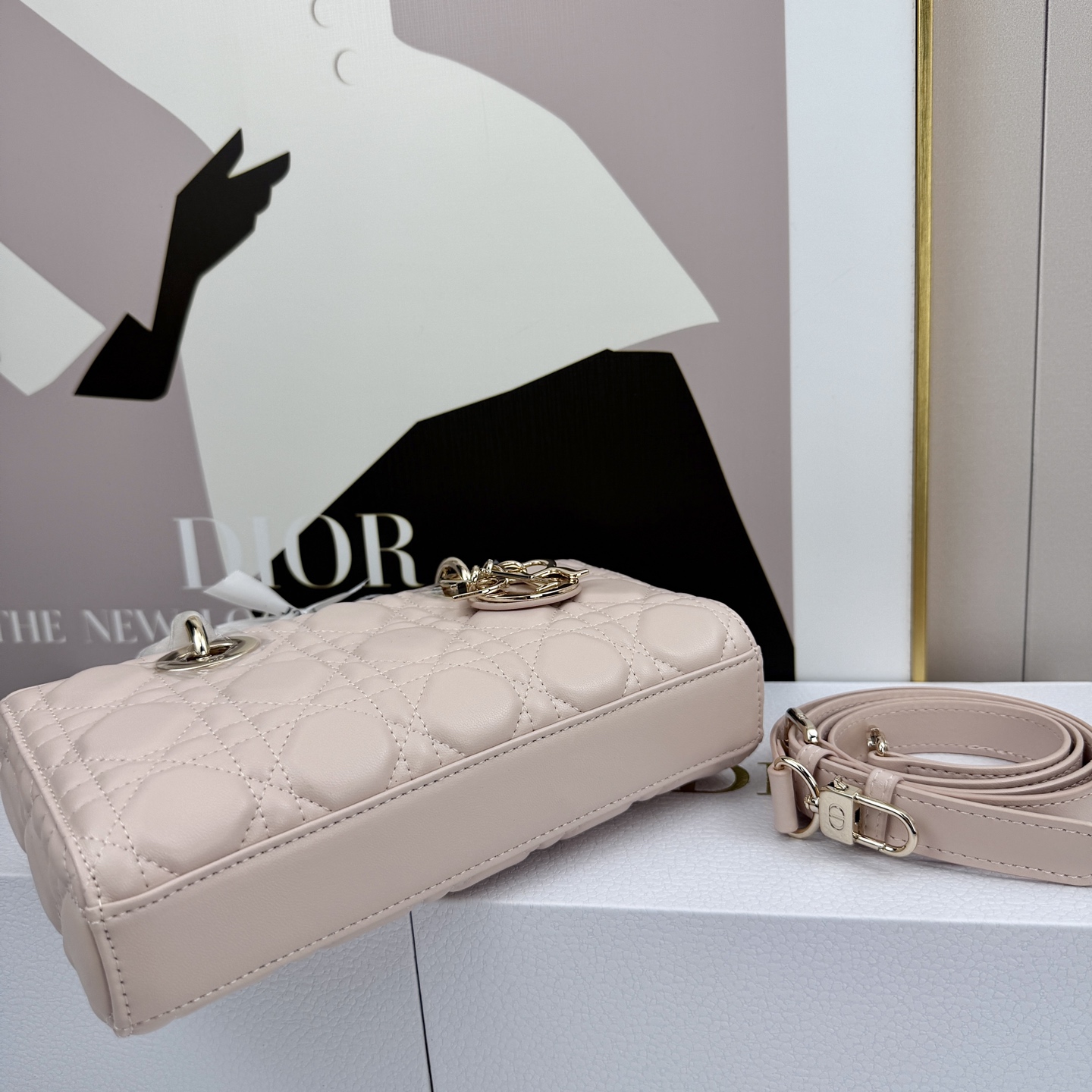 Dior Lady D-Joy Light pink 22cm shoulder everyday