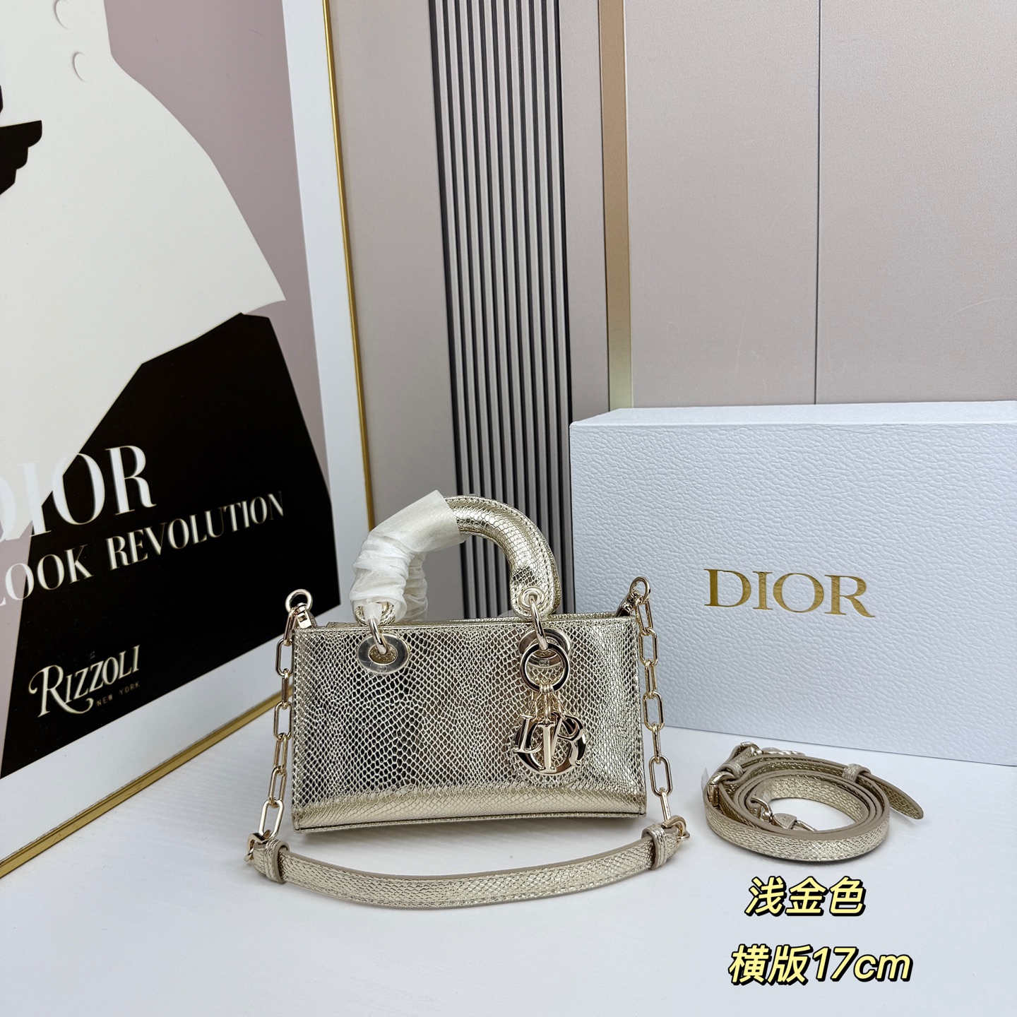 横版mini迪奥Dior 蜥蜴纹戴妃包🖤经典配色超级百搭比较稀有的皮质，搭配超级洋气🫧尺寸17.14