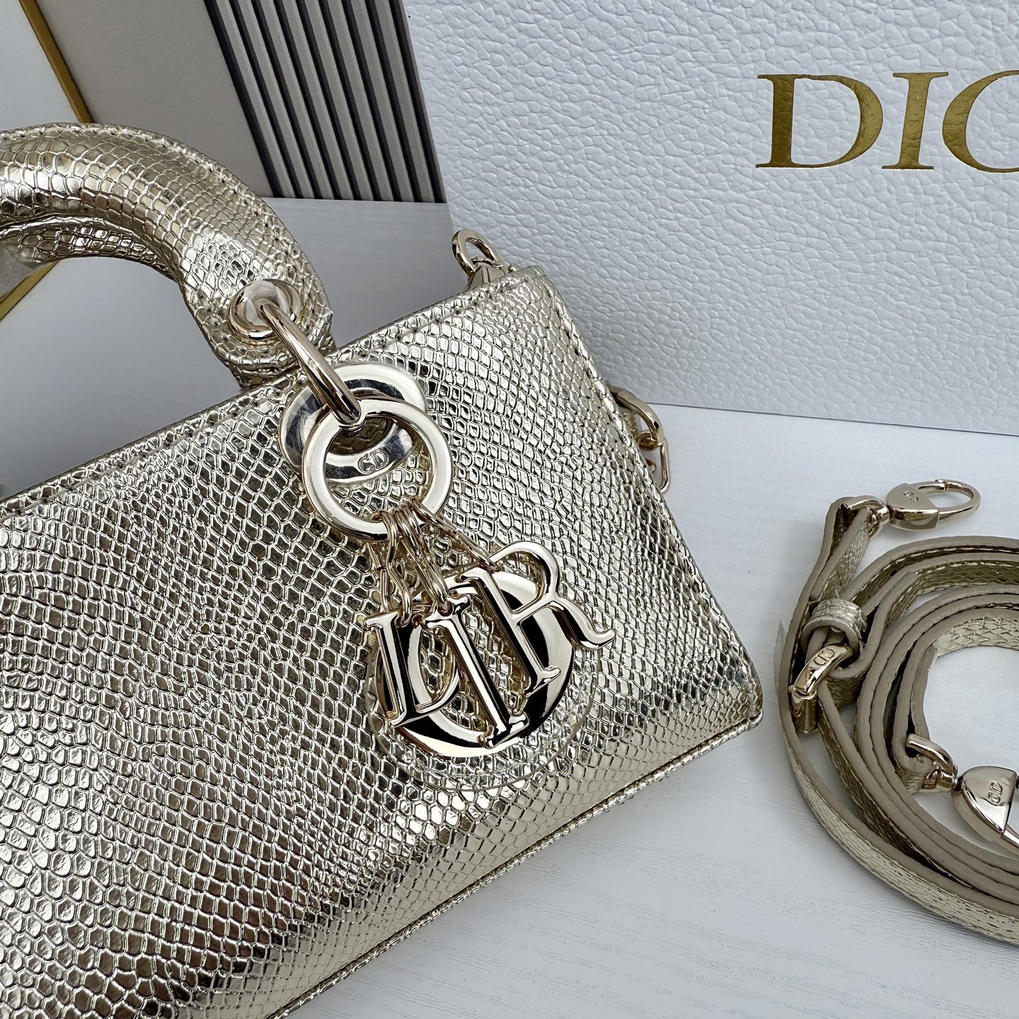 横版mini迪奥Dior 蜥蜴纹戴妃包🖤经典配色超级百搭比较稀有的皮质，搭配超级洋气🫧尺寸17.14