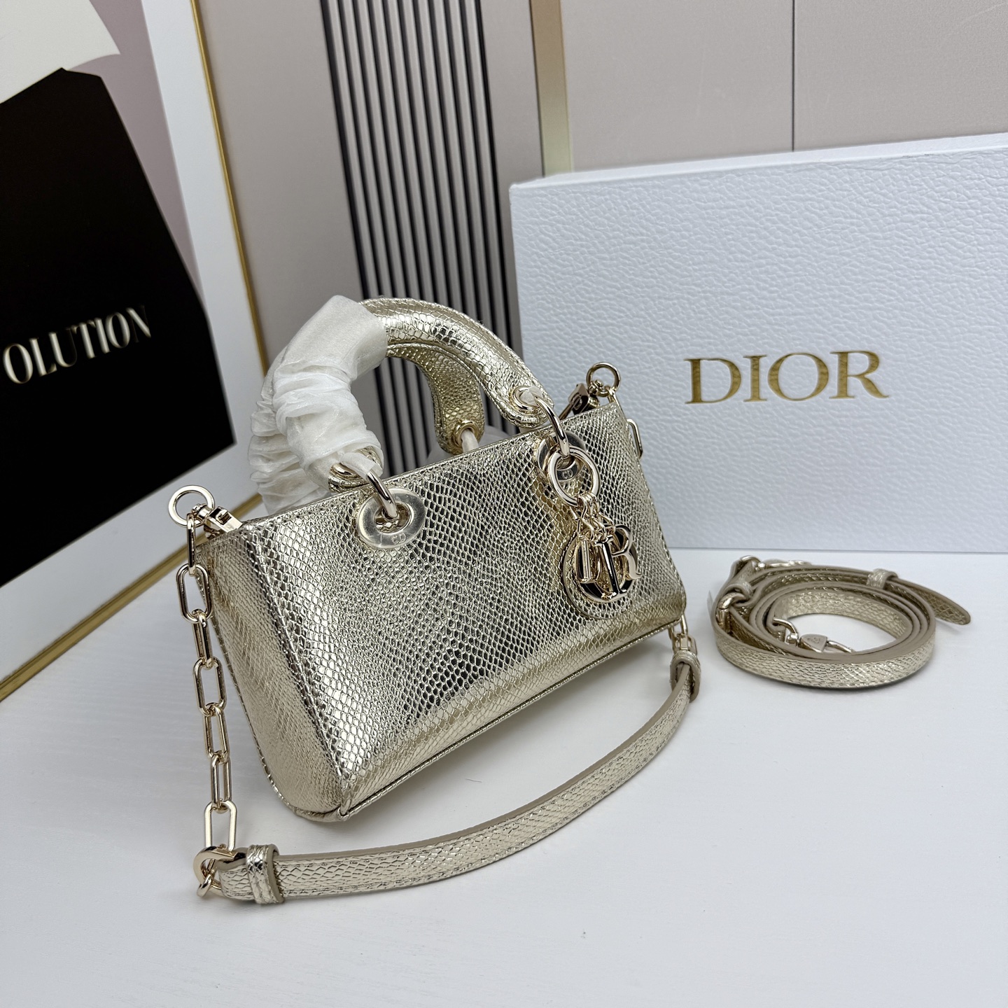 横版mini迪奥Dior 蜥蜴纹戴妃包🖤经典配色超级百搭比较稀有的皮质，搭配超级洋气🫧尺寸17.14