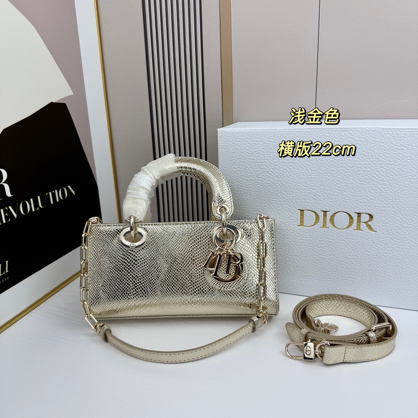 横版小号迪奥Dior 蜥蜴纹戴妃包🖤经典配色超级百搭比较稀有的皮质，搭配超级洋气🫧尺寸：22×13×4c