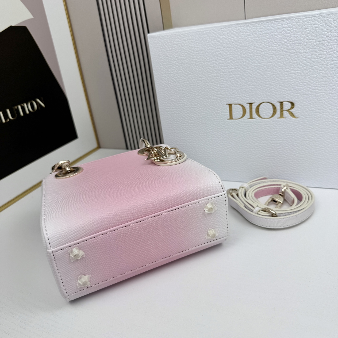 Dior迪奥戴妃包蜥蜴纹可可爱爱 小巧玲珑 优雅精致 仙女必备款尺寸：17.8.15
