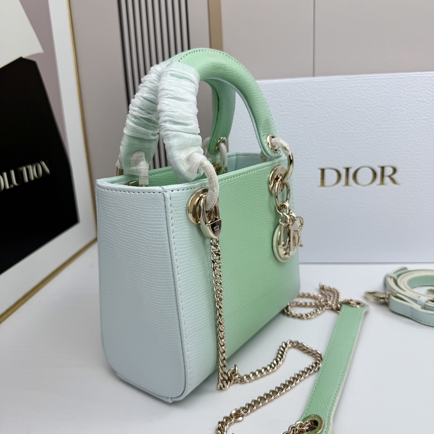 Dior迪奥戴妃包蜥蜴纹可可爱爱 小巧玲珑 优雅精致 仙女必备款尺寸：17.8.15